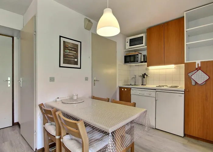 아파트 Au Pied Des Pistes, Vue Ski, 4 Personnes - Fr-1-455-130